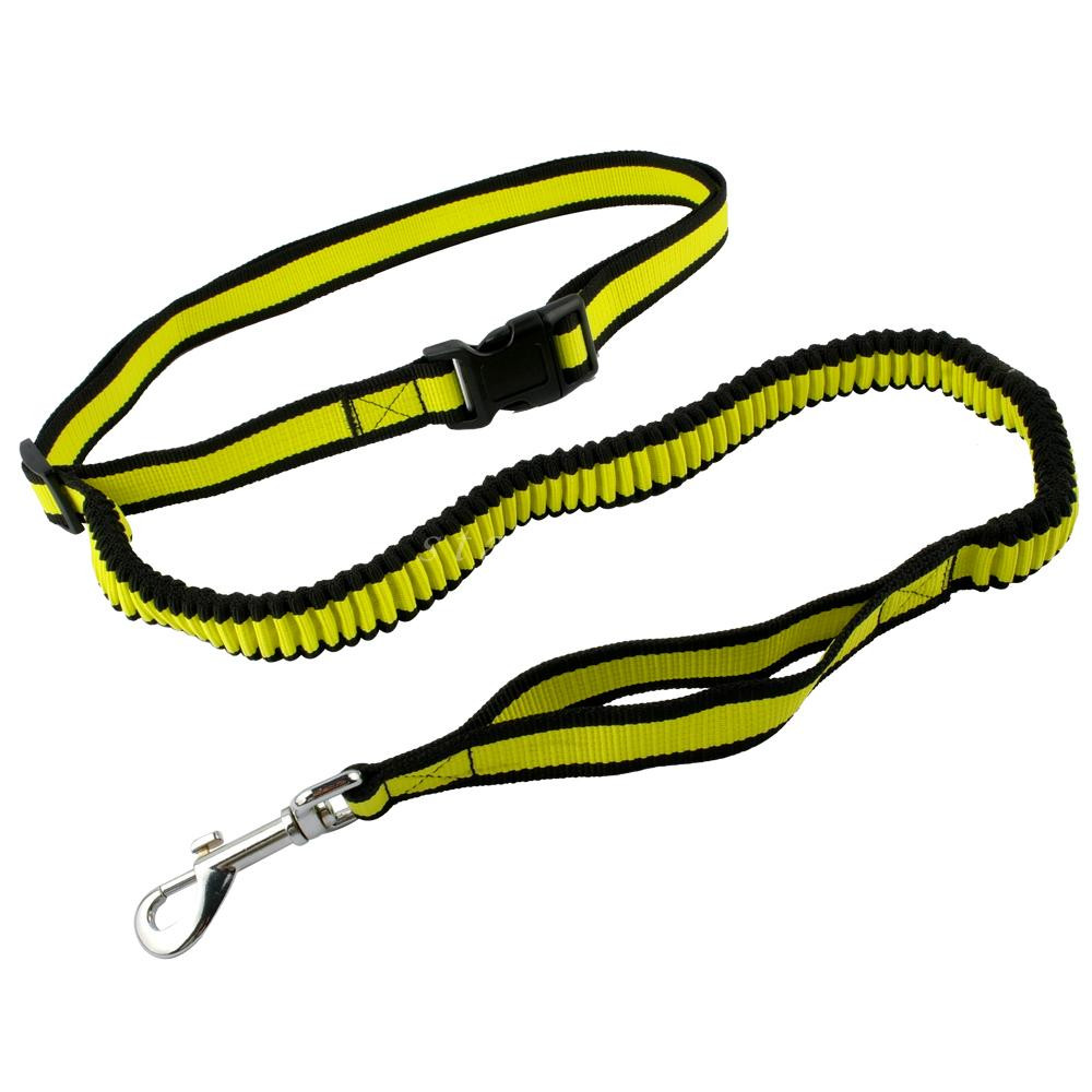 Hands Free Dog Leash Skiverr